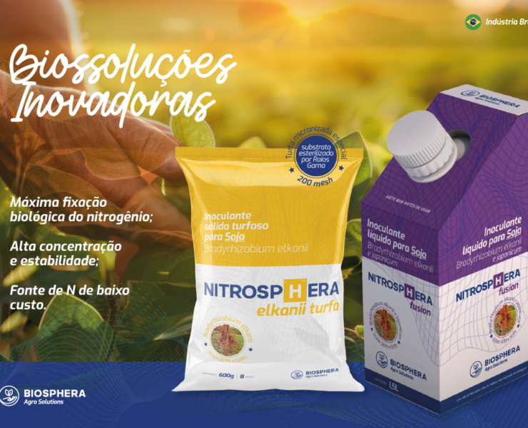 Sem título-1_Prancheta 1